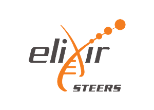 Elixir-steers