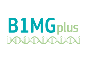B1MG plus logo